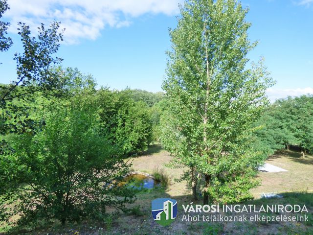 Erdei környezetben új építésű családi ház nagy telken