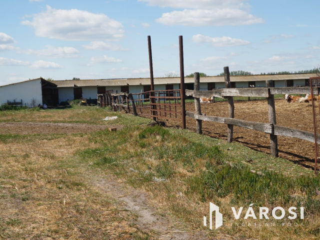 Önellátó családi gazdaság Nagykőrösön