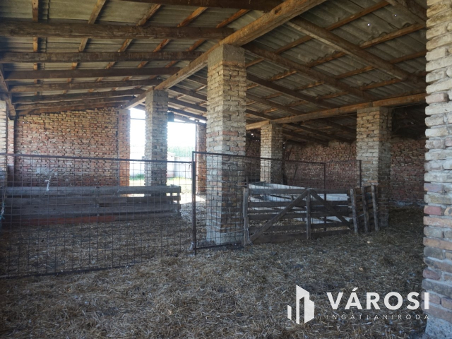 Önellátó családi gazdaság Nagykőrösön