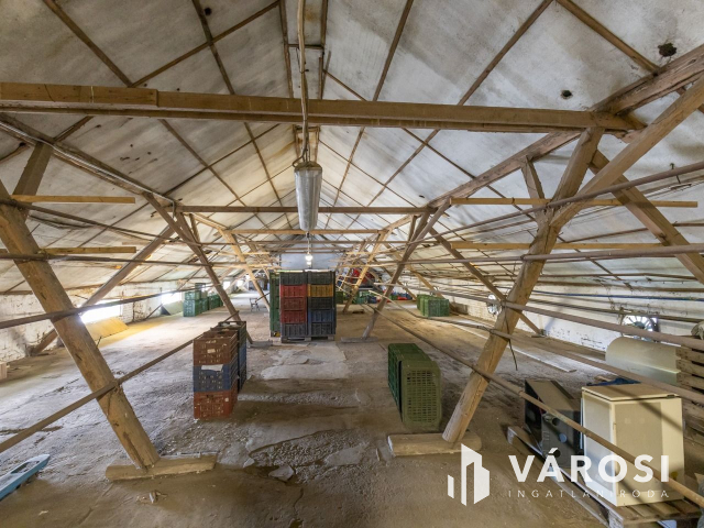 Makói, mezőgazdasági tanya/telephely eladó!