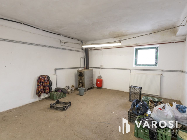 Makói, mezőgazdasági tanya/telephely eladó!