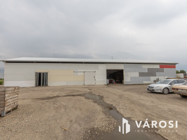 Makói, mezőgazdasági tanya/telephely eladó!