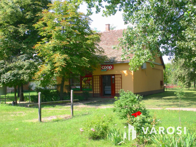 Ha vállalkozást szeretne elindítani,