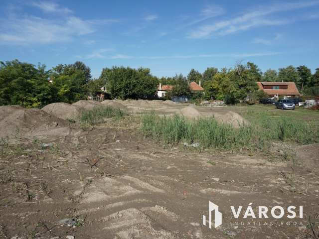 Építkezzen egy hórgásztó mellett!