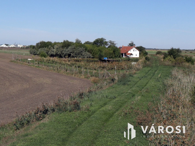 Új építésű tanya eladó