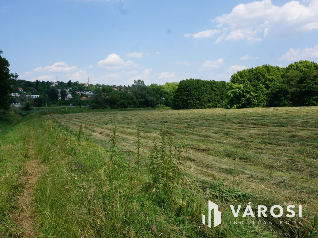A lehetőségek telke a Solymárvölgyi úton!