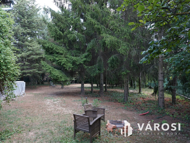 Normafa árnyékában hatalmas telekkel!