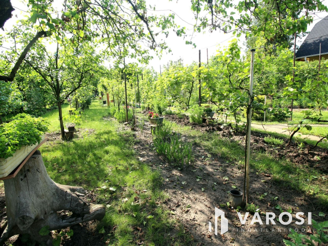 Édenkert Szeged kedvelt üdülő övezetében