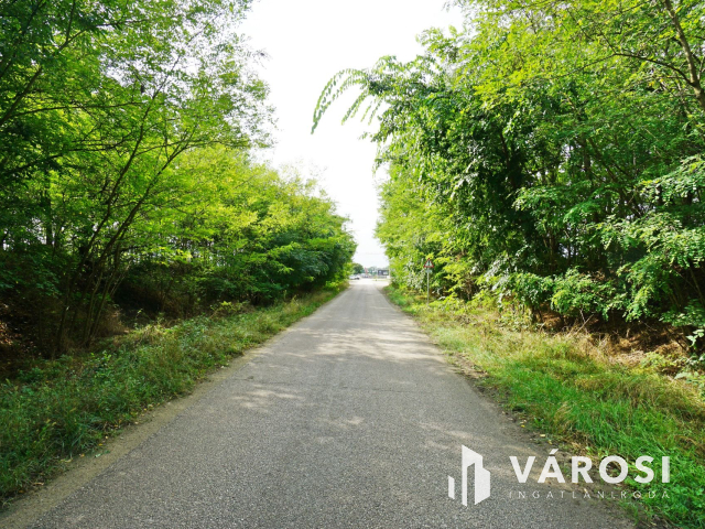 Telephely eladó ipari övezetben