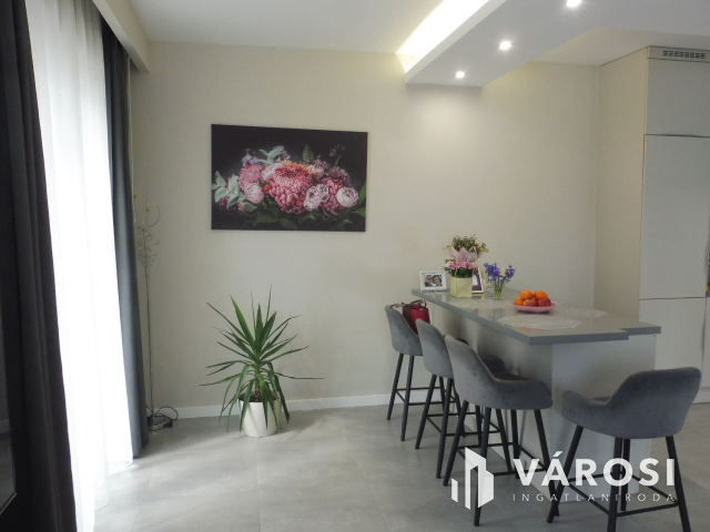 Újszegedi N+4 szobás ház medencével eladó!