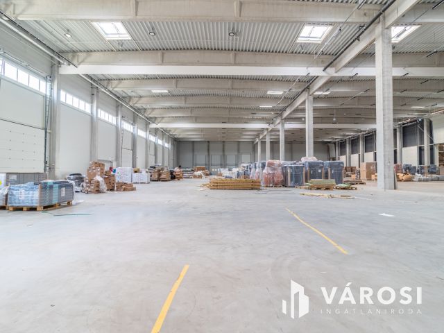 ÚJ ÉPÍTÉSŰ IPARI INGATLAN DABASON KIADÓ