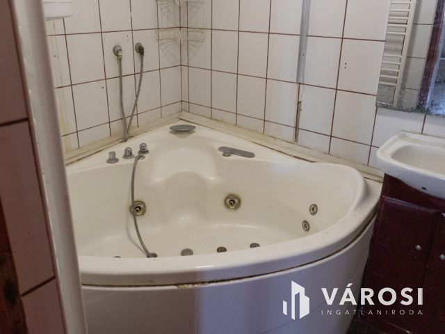 Lovastanya erdővel a szélén