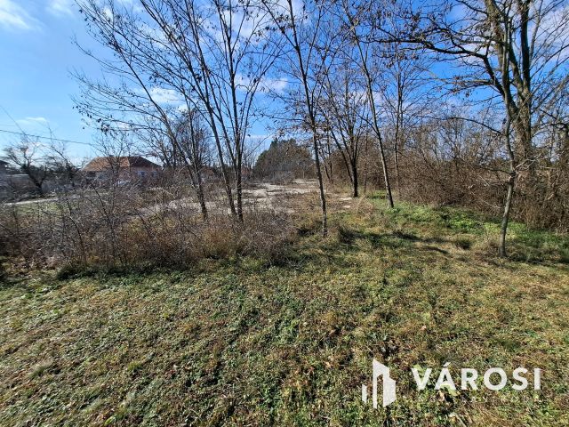 Jó fekvésű építési telek eladó Szőcön