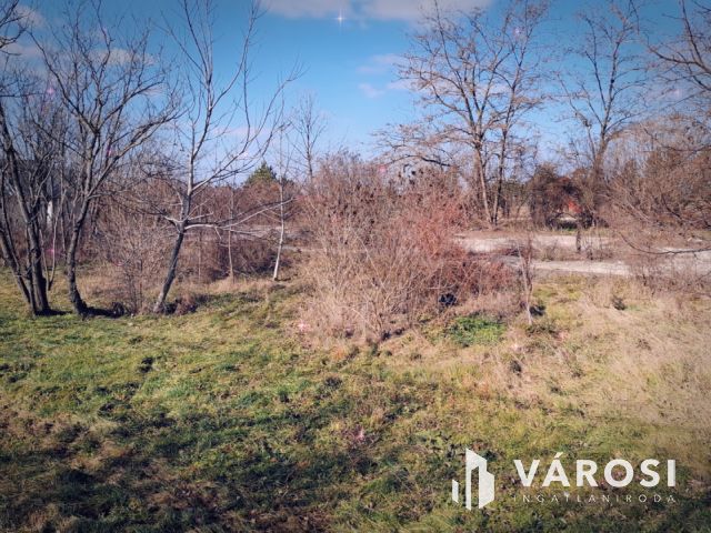 Jó fekvésű építési telek eladó Szőcön