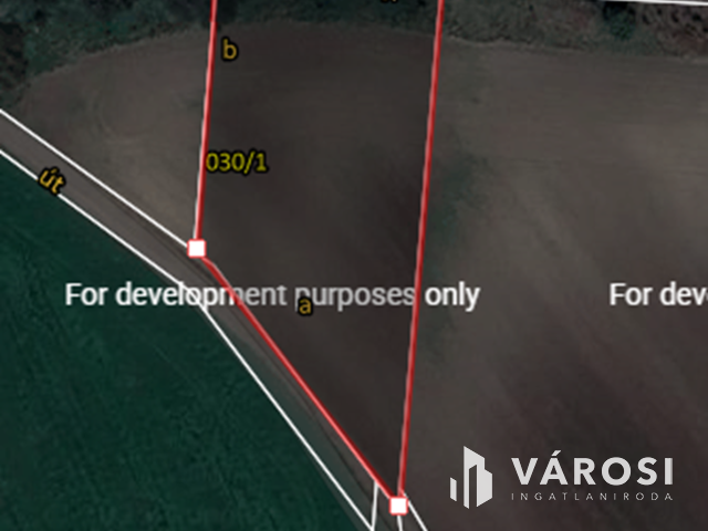 Röszke határában termelhet