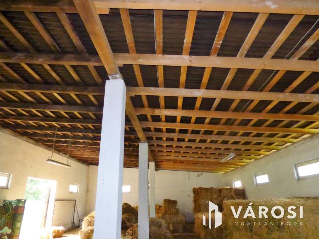 Ipari csarnok eladó egyedi hitelkonstrukcióval is!