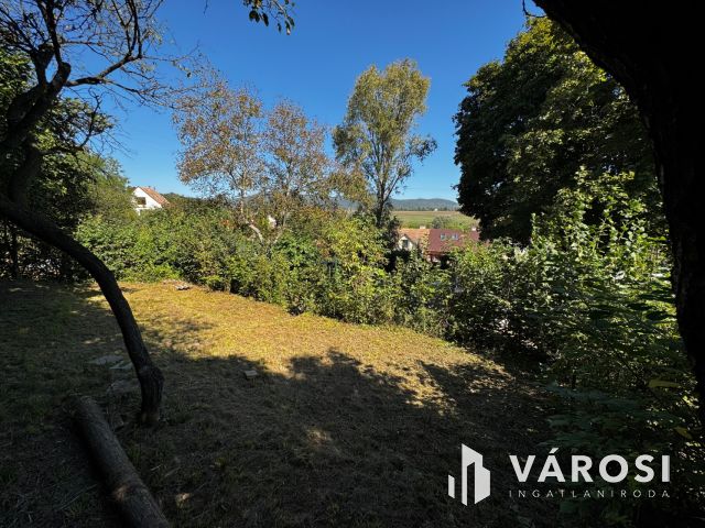 Telek, ahol az ötletek otthonra lelnek!