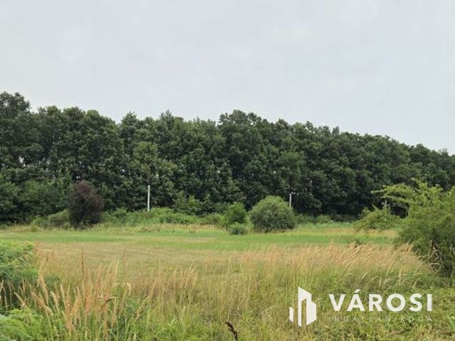 Eladó telek Abádszalók csendes, zöldövezeti részén!