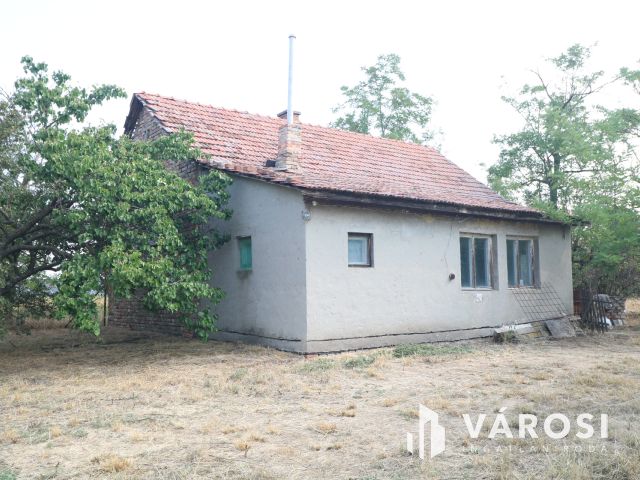 Sándorfalvi úton lévő tanya, közel 100 000 nm-en.