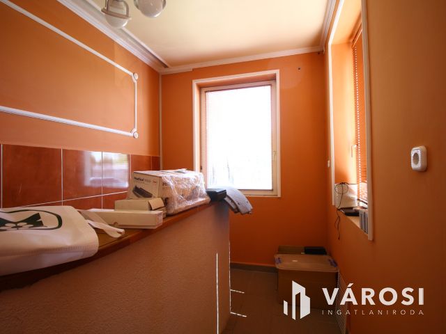 Szolnoki Ipari Parkban, profi helyiségben