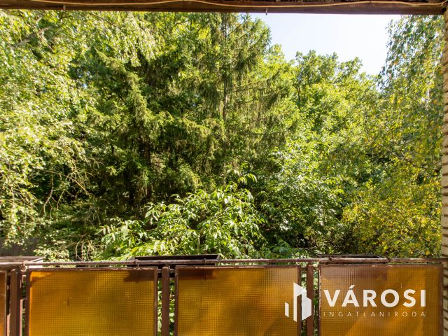 Családi ház Fényesligeten – természet és kényelem egyben