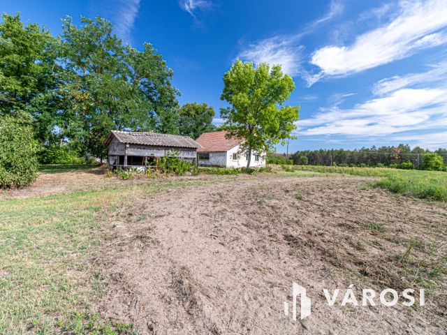 Gazdálkodásra, állattartásra alkalmas Ásotthalmi birtok