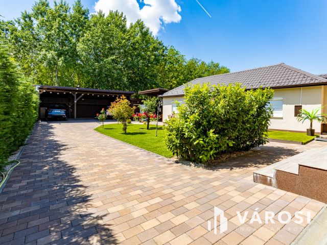 Két  ház, egy telken,  erdő mellett Szigethalmon eladó