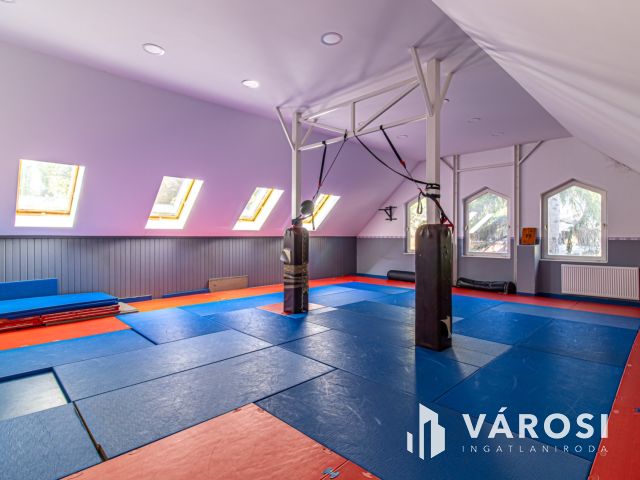 Duna parti családi otthon nagy telekkel