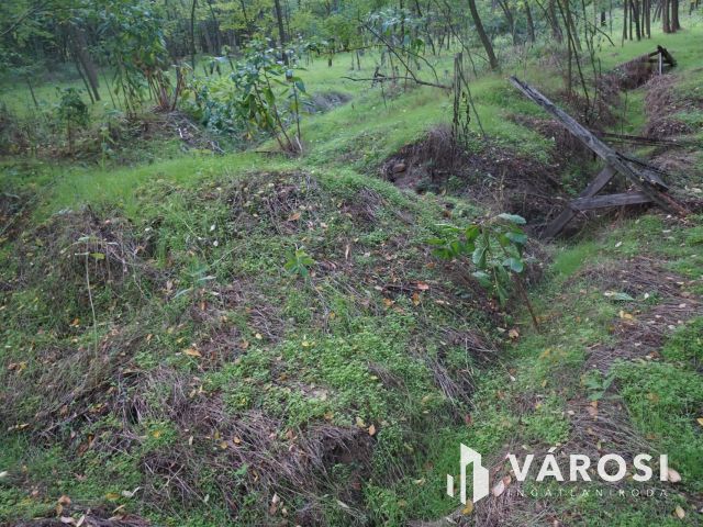 Budapesttől 16 km-re erdei környezetben tanya eladó
