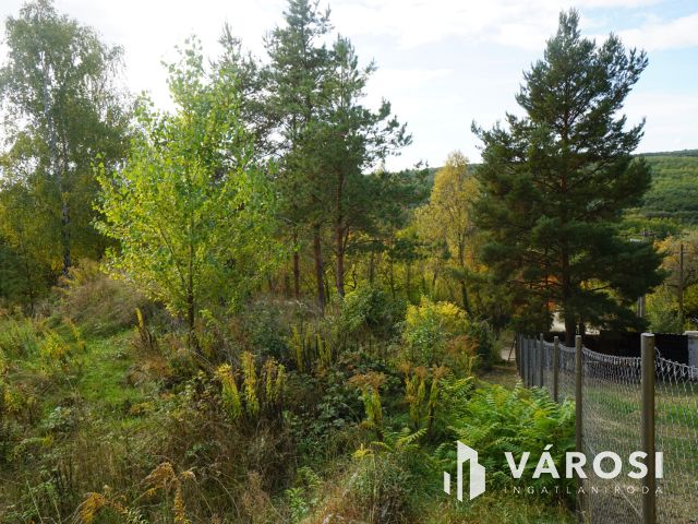 Örök panorámás üdülő övezeti telek eladó