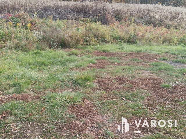 Eladó belterületi telek Dömsödön Pest megyében!