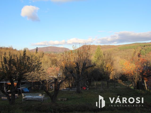 Rönkházzal együtt eladó üdülőtelek