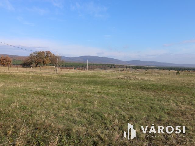 Fejlesztési lehetőség Márkón