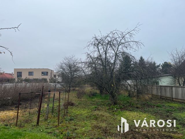 Debrecen Határ úton nagy telek, 500 nm-es beépíthetőséggel!