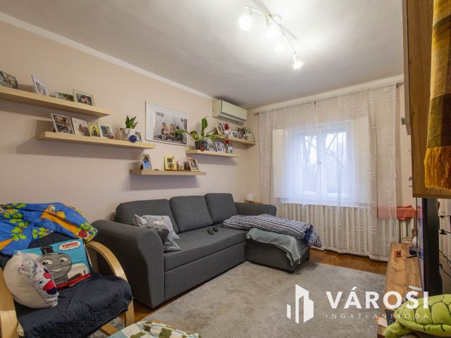 Baktói családi ház garázzsal és nagy telekkel