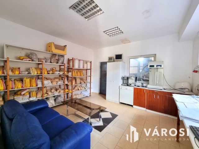 Eladó ipari ingatlan – nagy terekkel és saját kúttal!