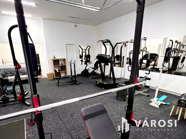 Felújított, azonnal hasznosítható ipari ingatlan!