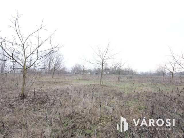 Szeretne passzív jövedelmet dióból?