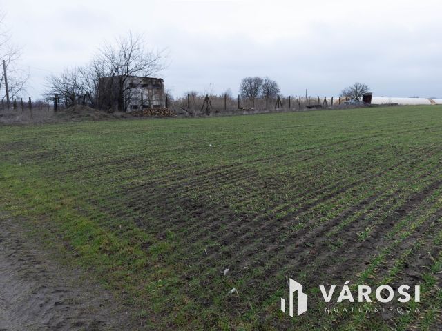 Kiemelt fejlesztési terület Röszke M5 autópálya közelében