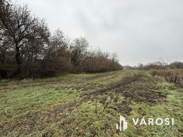 BEFEKTETÉSI LEHETŐSÉG PÁZMÁNDON - 8 TELEK, PANORÁMA