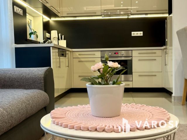 Exkluzív, kertkapcsolatos lakás Újszegeden