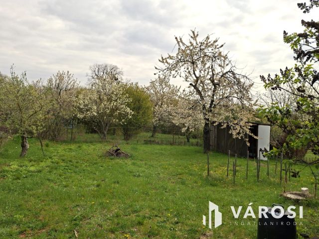 Jó telek, jó helyen. Most kell lépni!