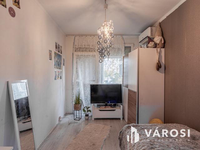 A Zsitva sori hetven tettes - eladó panel lakás -